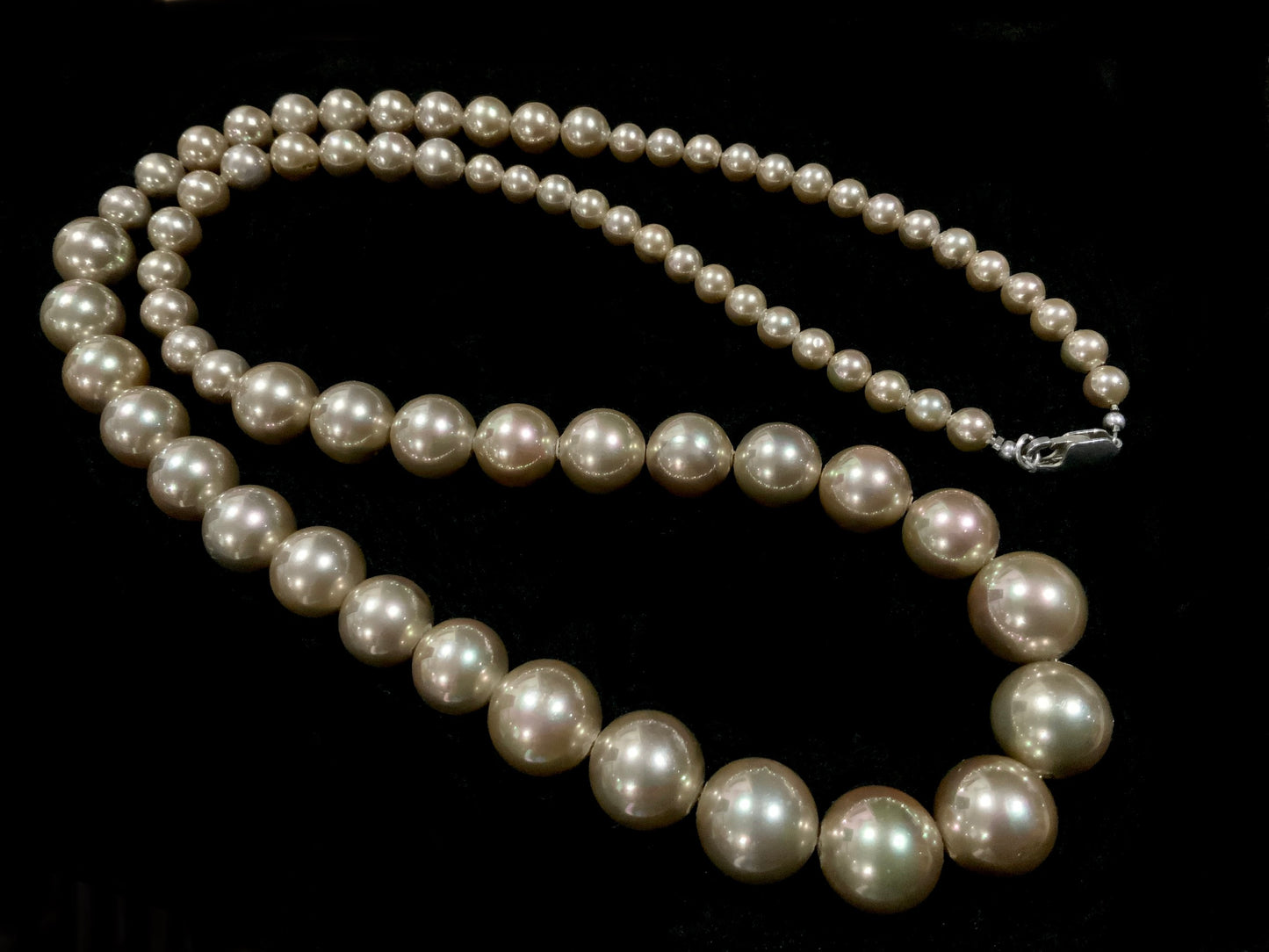Champagne Rainbow Lustre Faux Pearl Vintage Opera Necklace 925 Silver Clasp